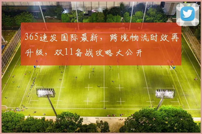 365速发国际最新，跨境物流时效再升级，双11备战攻略大公开