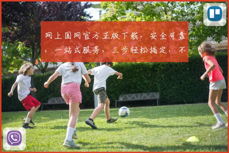 网上国网官方正版下载，安全可靠，一站式服务，三步轻松搞定，不容错过