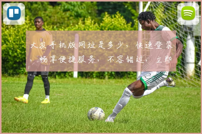 大发手机版网址是多少，快速登录，畅享便捷服务，不容错过，立即体验