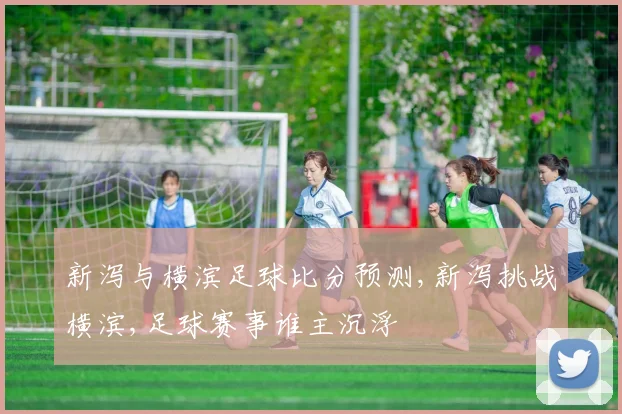 新泻与横滨足球比分预测,新泻挑战横滨,足球赛事谁主沉浮