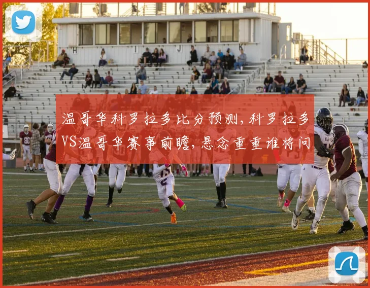 温哥华科罗拉多比分预测,科罗拉多VS温哥华赛事前瞻,悬念重重谁将问鼎