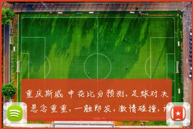 重庆斯威 申花比分预测,足球对决,悬念重重,一触即发,激情碰撞,谁能问鼎