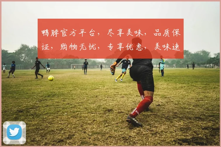 鸭脖官方平台，尽享美味，品质保证，购物无忧，专享优惠，美味速递，品质生活新选择，2大亮点必看